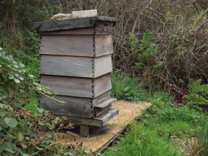fife smallholder bee hive